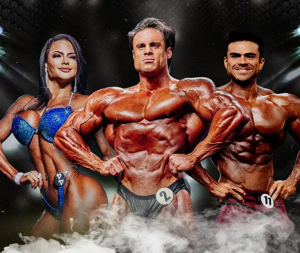 What are steroids – explanation of steroid hormones and their functions.